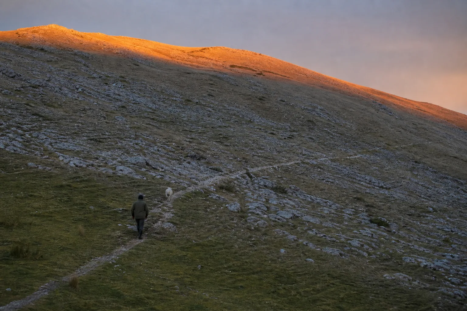 Distant shepherd and one sheep following a narrow trail across a steep barren hillside